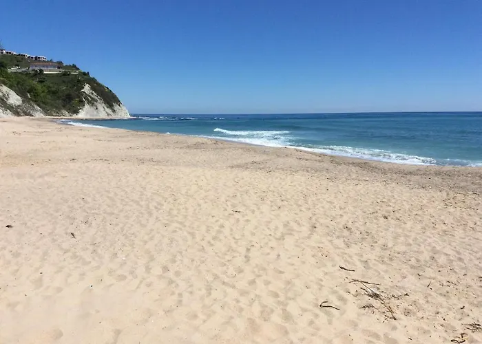 Sun -byala Sp 비알라