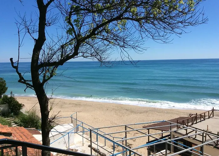 Sun -byala Sp * 비알라